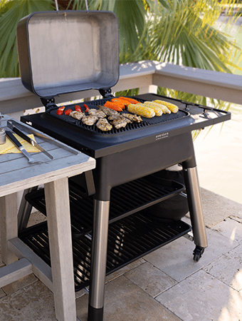 ehb Gasgrills